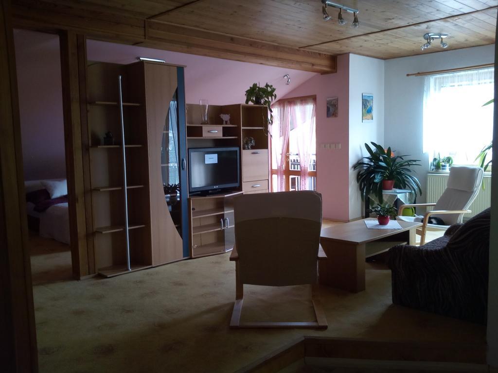 Penzion Lida Srbsko エクステリア 写真